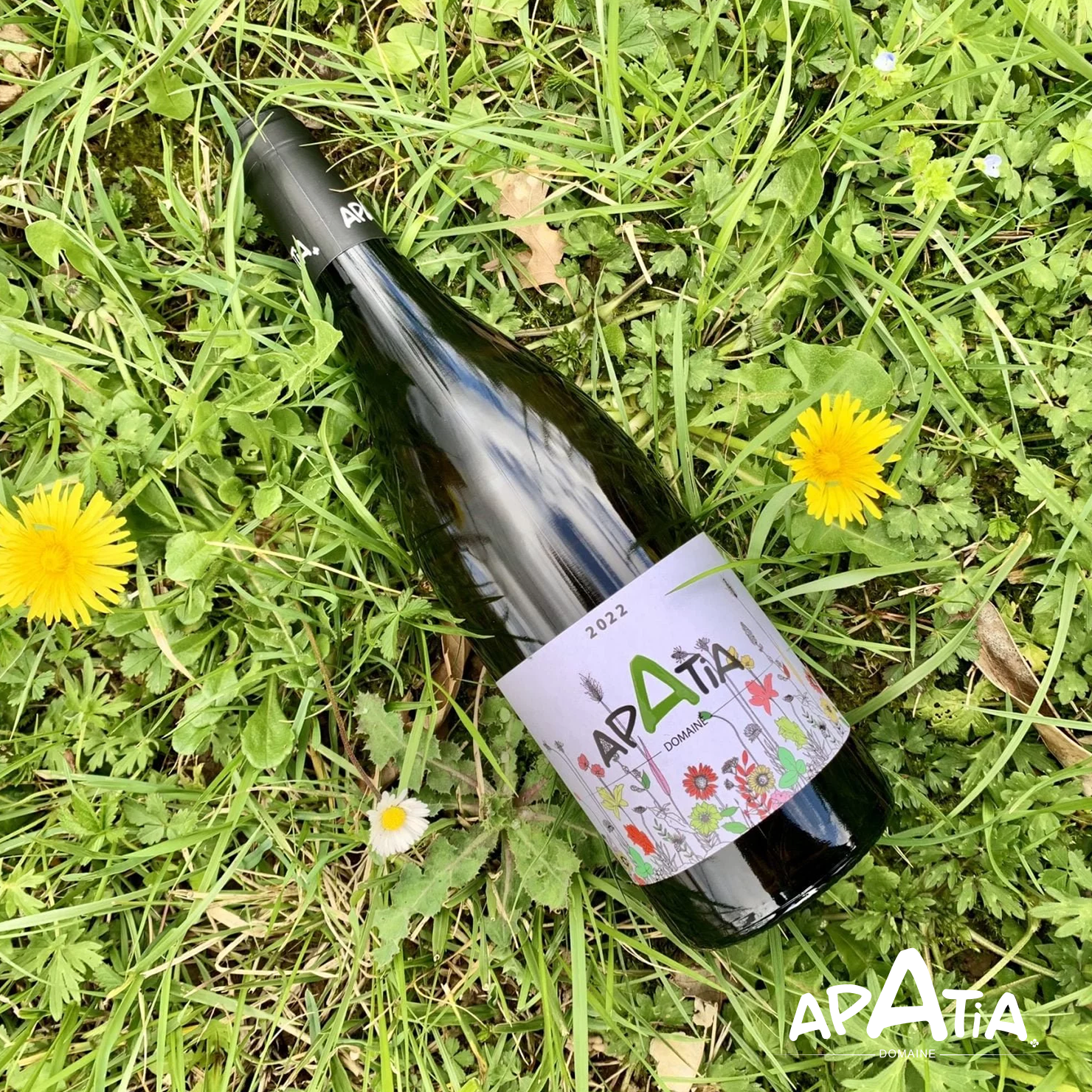 Vin APATIA • Blanc - Xuria (Herbes)