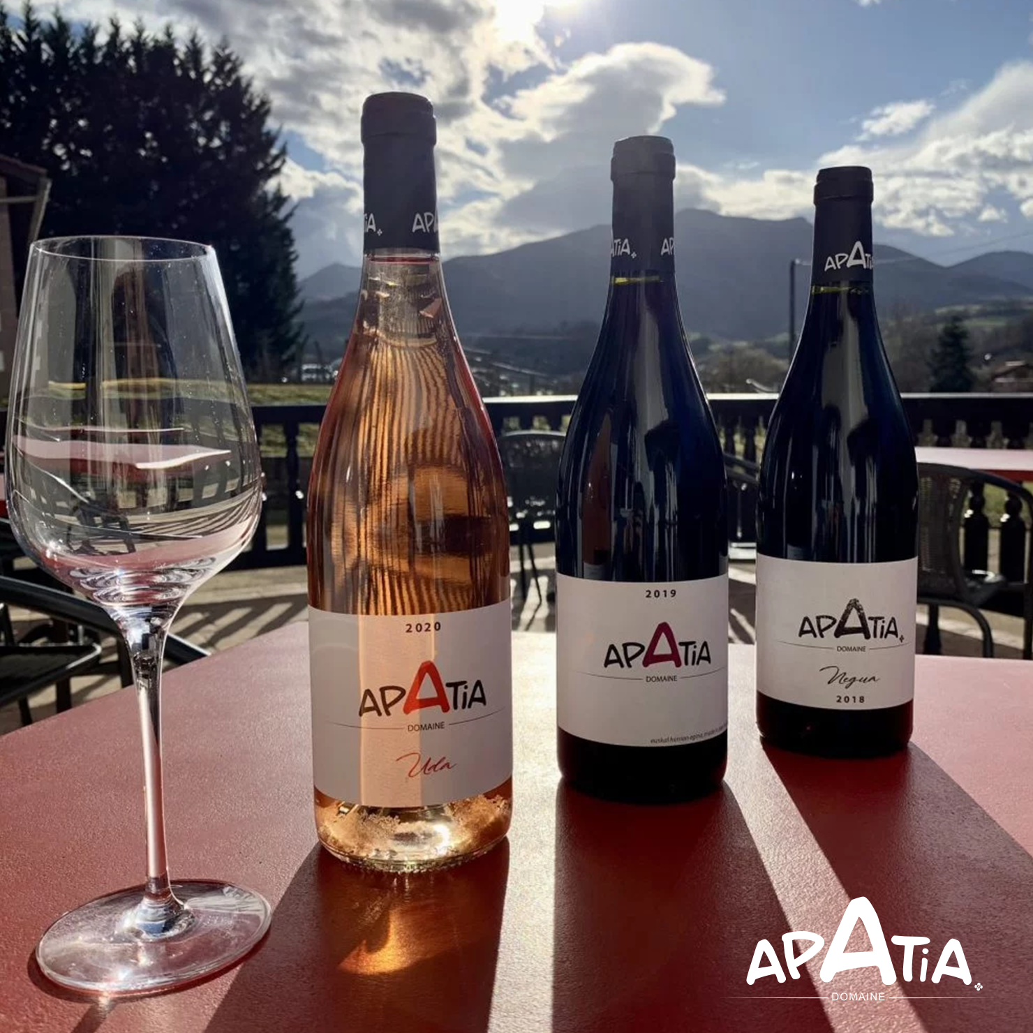 Vins APATIA • Bouteilles Rouge, Rosé et Blanc.