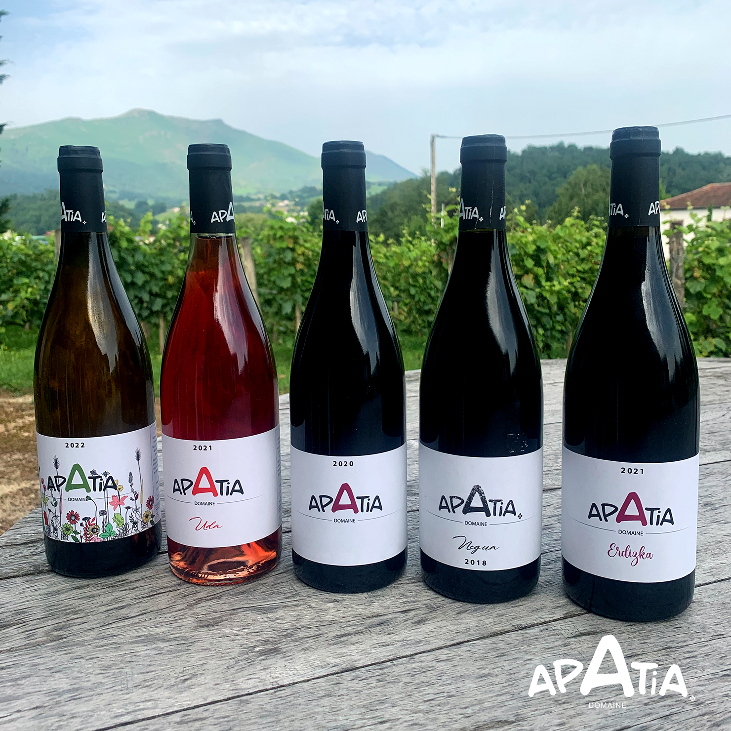 Vins APATIA • Bouteilles : 3 Rouges, 1 Rosé et 1 Blanc.