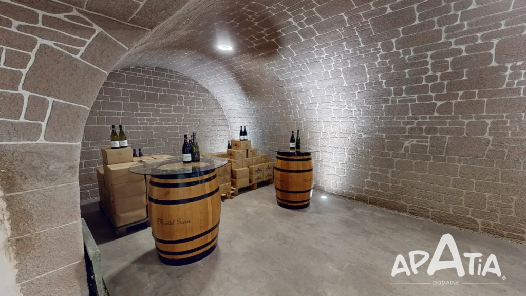 Dégustation Signature du Domaine Apatia | Domaine Villa Harriet ©