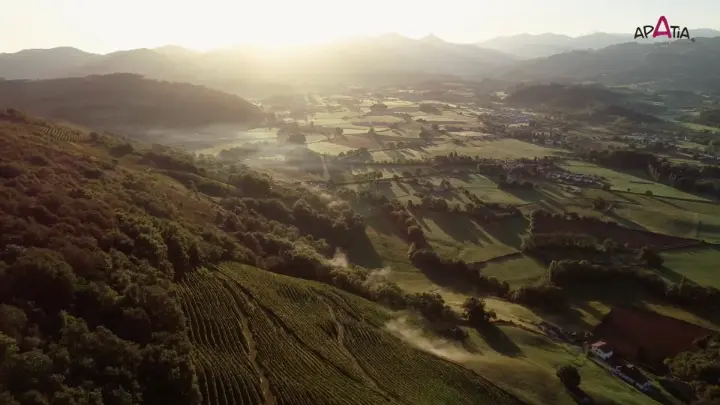 Domaine Apatia • Vignoble