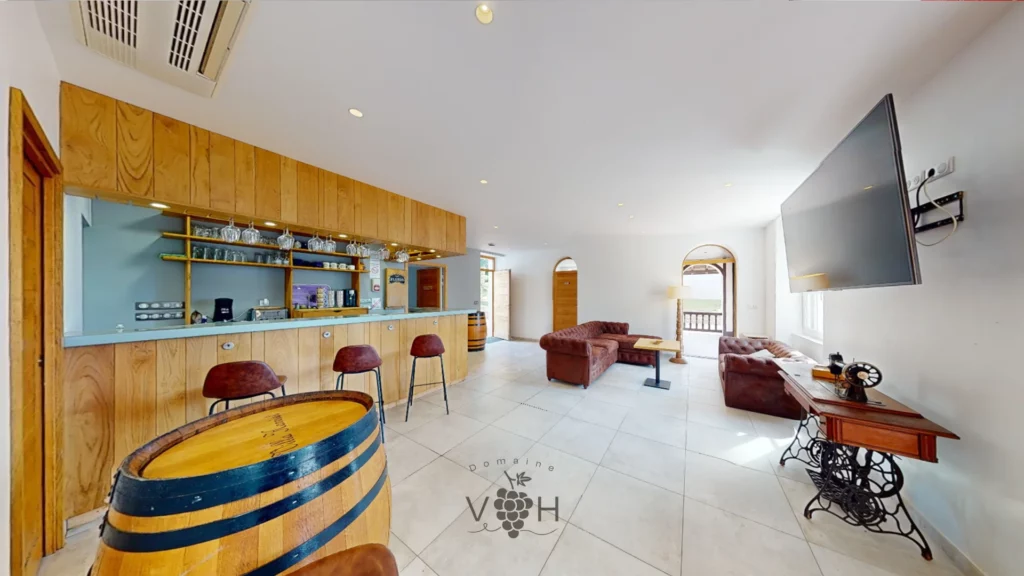 Bar & Salon • Villa Harriet ©