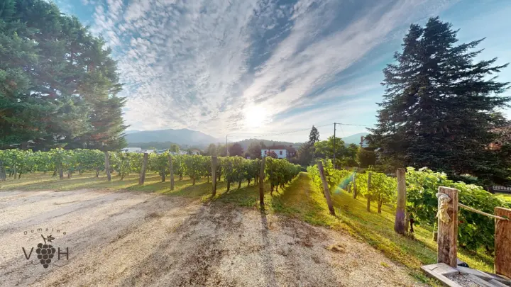 Terrasse Nord-ouest Vue Panoramique • Domaine Villa Harriet ©