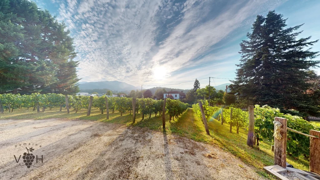 Terrasse Nord-ouest | Salle de Réception • Domaine Villa Harriet ©