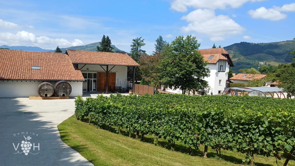 Terrasse Sud-est | Salle de Réception • Domaine Villa Harriet ©