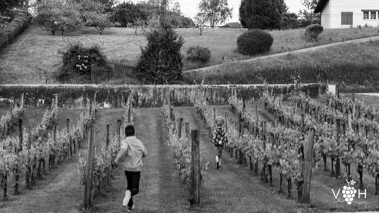 Mentions Légales | CGU et Politique de Confidentialité RGPD • Domaine Villa Harriet ©